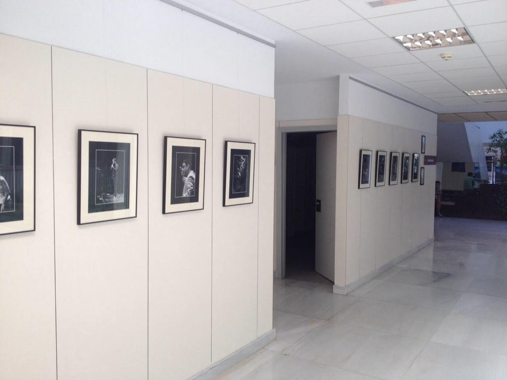 La Exposición de fotografía Música por la Investigación viaja al Hospital de Villarrobledo