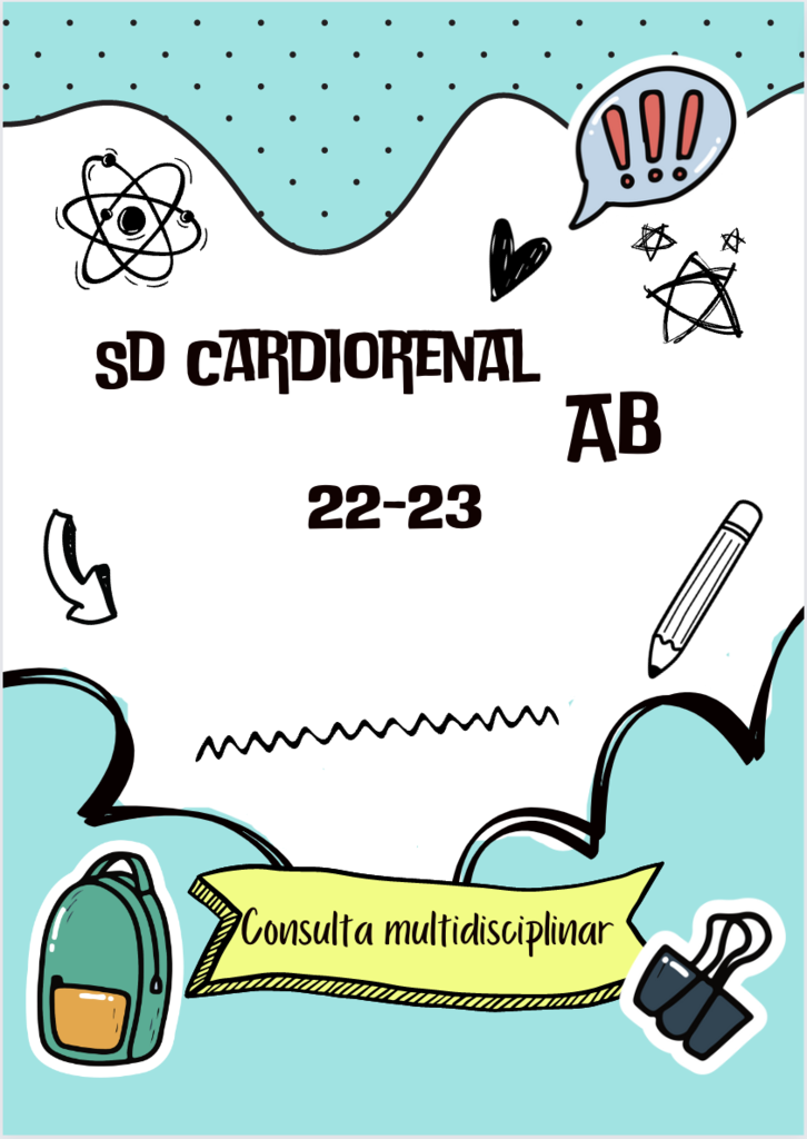 Sd Cardiorrenal