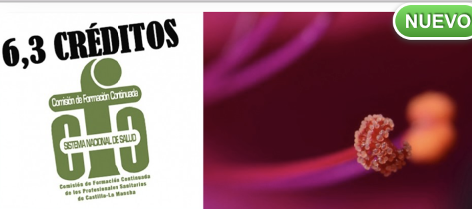 Anatomía, fisiología y patología renal para enfermería