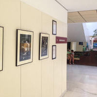 La Exposición de fotografía Música por la Investigación viaja al Hospital de Villarrobledo